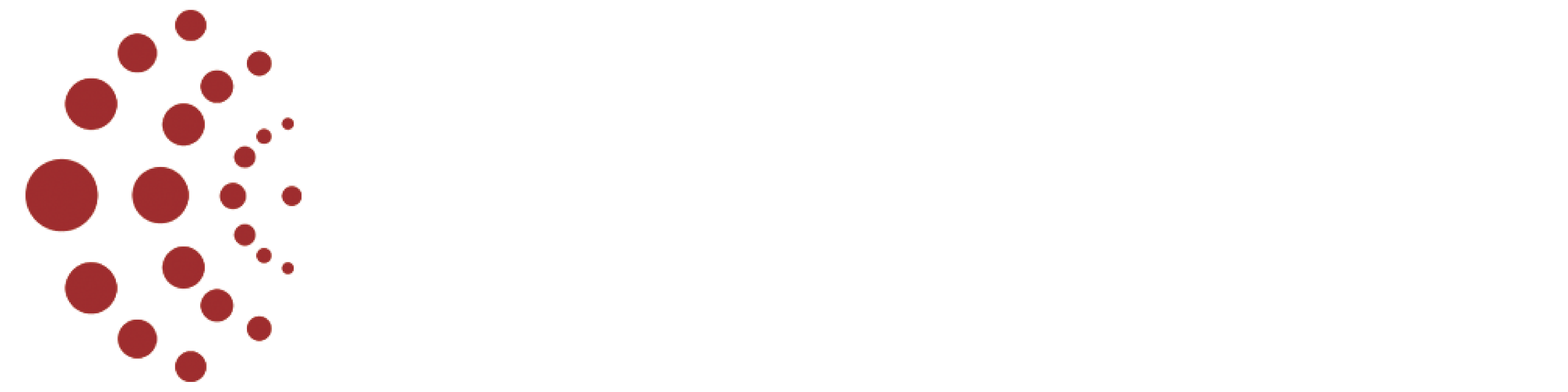 Network Doctor | IT Solutions & Services